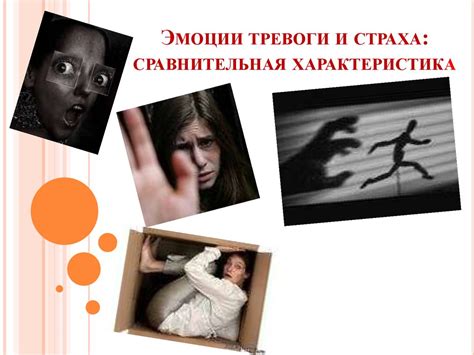 Зевание как способ устранения страха и тревоги