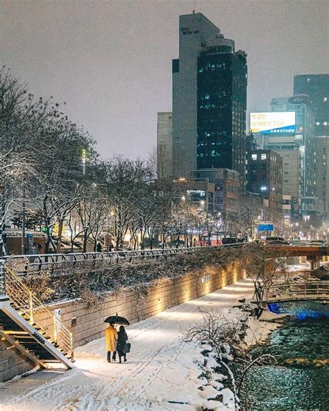 Зима в Сеуле: сказочная атмосфера и наслаждение снегом