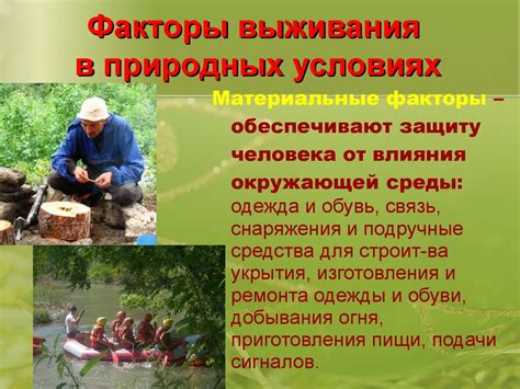 Зимние условия: основные факторы выживания