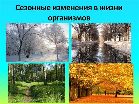 Изменения в жизни