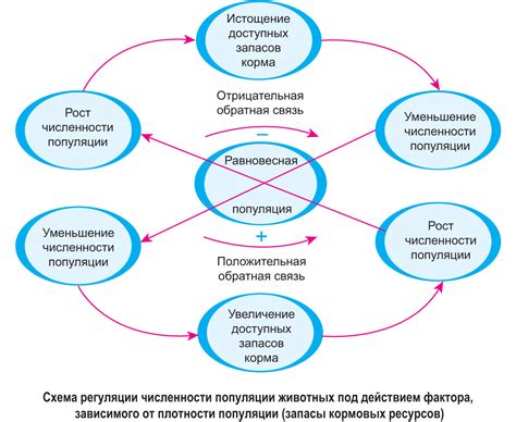 Изучите природные методы регуляции потоотделения для поддержания комфорта