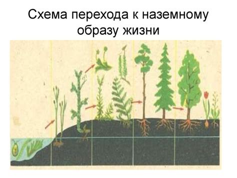 Истоки перехода к седентарному образу жизни