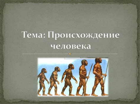 Истоки эволюции: происхождение истории