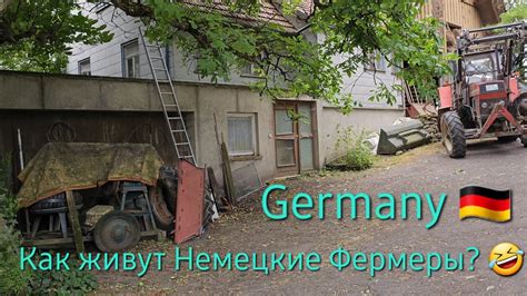 Исчезающий богатырь: проблемы, стоящие перед океаном