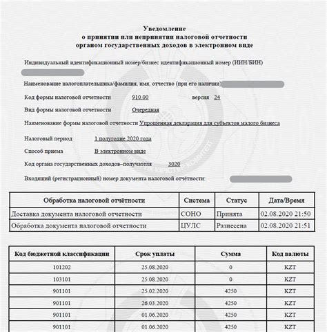 Какие данные необходимо указывать в 910 форме