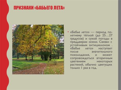 Какие признаки бабьего лета можно заметить