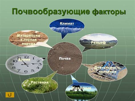 Какие факторы влияют на возможность устойчивой ходьбы