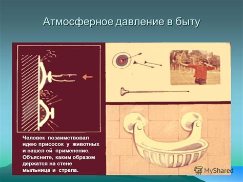 Каким образом мыши держатся на вертикальных поверхностях