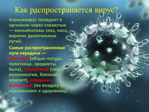 Как вирус распространяется в парной