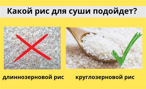 Как выбрать и готовить рис для собак