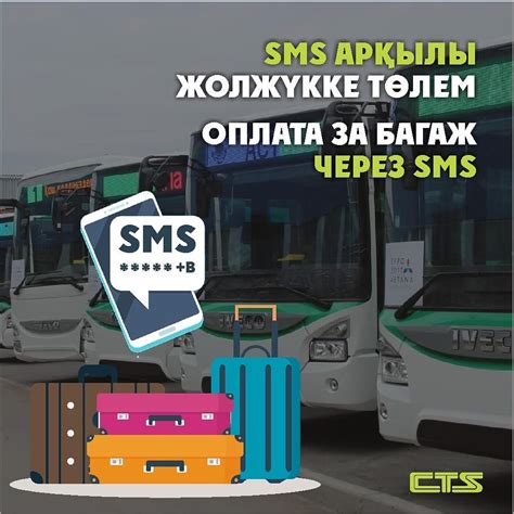 Как и где оплатить багаж
