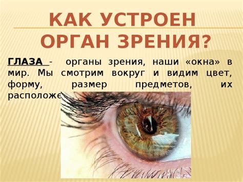 Как мы смотрим в глаза: основные типы взгляда