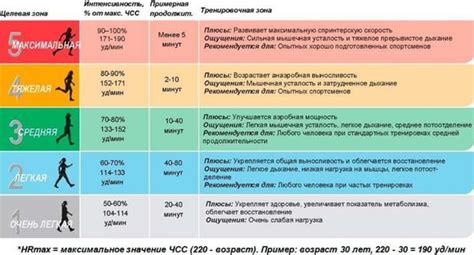 Как определить нормальный пульс при беге: оптимальные значения для разных возрастных групп