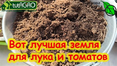 Как подготовить почву для посева гацании на рассаду