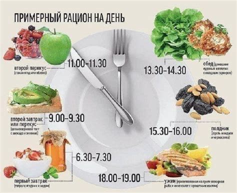 Как правильно питаться перед Эхо КГ