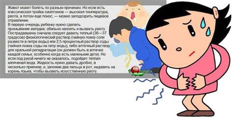 Как предотвратить рвоту из-за глистов у ребенка