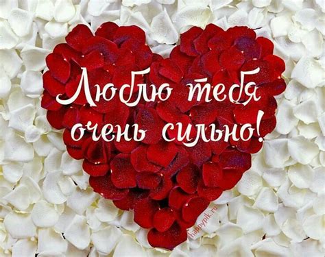 Как сказать "Я тебя люблю": основные фразы и выражения