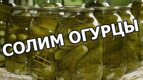 Как солить огурцы морской солью