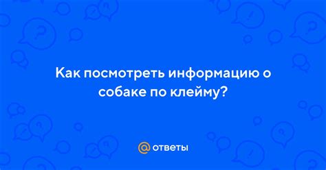 Как узнать информацию о собаке по номеру РКФ