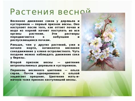 Как уловить весеннее обаяние раньше всех
