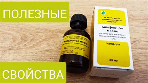 Камфорное масло: состав и свойства