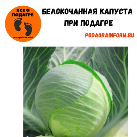 Капуста при подагре: разрешенные сорта и рецепты блюд