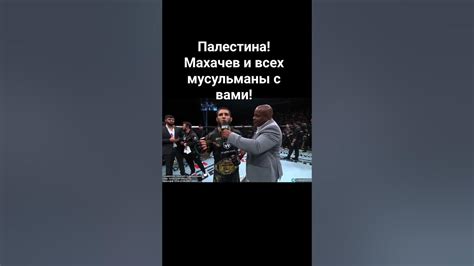 Ключевые моменты столкновения Махачев - Волконовский