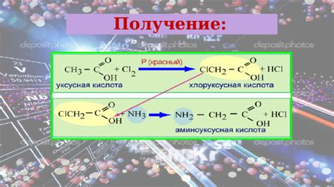 Когда белок распадается на аминокислоты