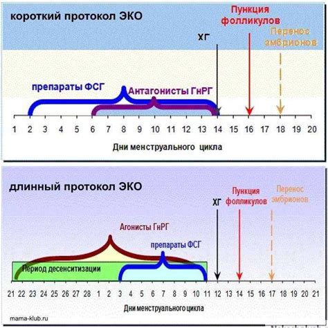 Когда следует ограничить спортивную активность при стимуляции ЭКО