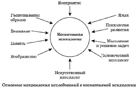 Когнитивная психология: прорыв в изучении процессов мышления и восприятия