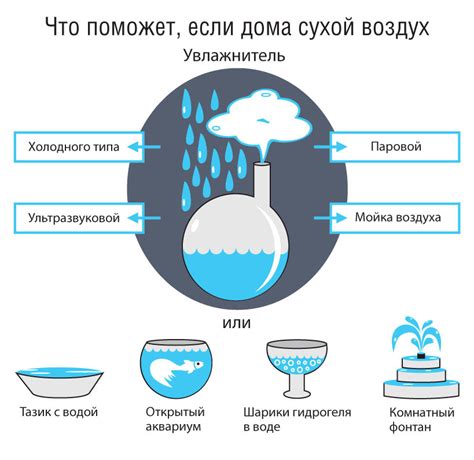 Комплексные действия при высокой влажности в квартире