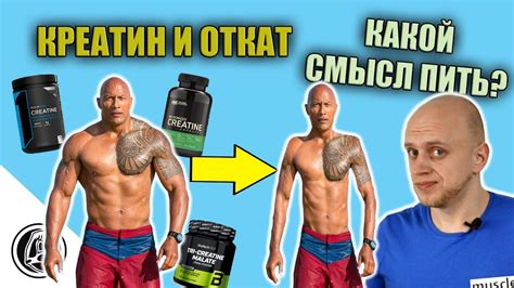 Креатин: эффективность приема