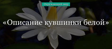 Критерии включения цветка в красную книгу