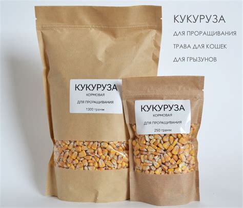 Кукуруза для кошек - природный источник питательных веществ