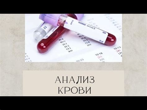 Лунный календарь и сдача крови на паразитов: как выбрать оптимальный момент