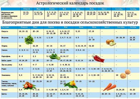 Лучшее время для посадки овощей на зиму