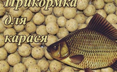 Лучшие прикормки для улова карася