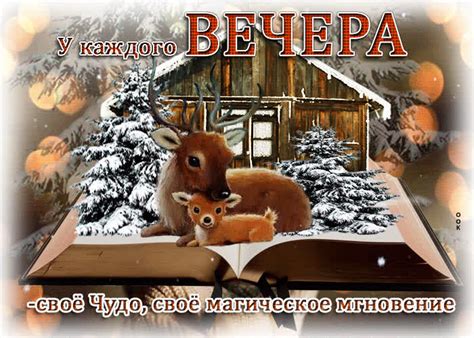 Магическое мгновение вечернего неба