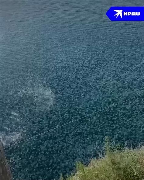 Март - наслаждаемся ранней весной на Южном побережье Крыма