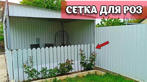 Материалы, которые можно использовать для подвязки