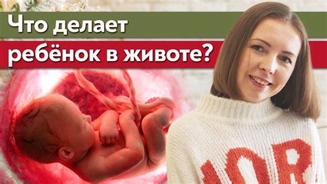 Материнская утроба - окружение для развития ребенка