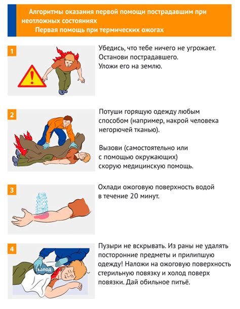 Меры первой помощи после укуса