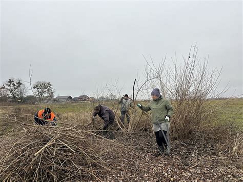 Места выбора для гнездования