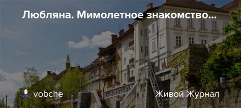 Мимолетное знакомство