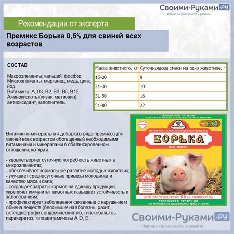 Минусы добавления соли в корм для свиней