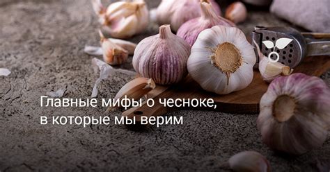 Мифы и правда о чесноке