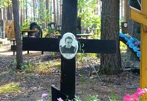 Можно ли забрать собаку с кладбища