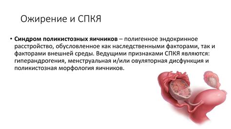 Нарушение репродуктивной системы
