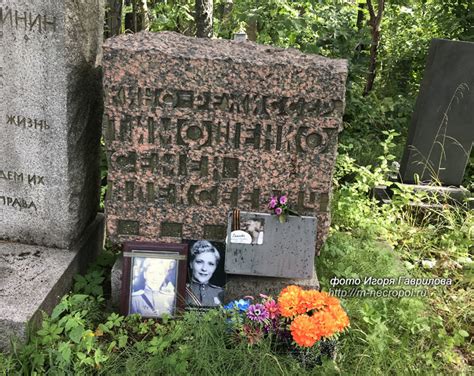 Наследие и оживление опавшей звезды