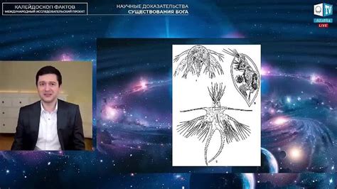 Научные доказательства существования феникса